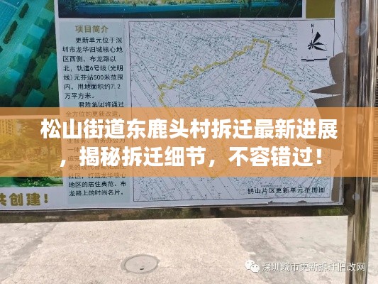 松山街道东鹿头村拆迁最新进展，揭秘拆迁细节，不容错过！