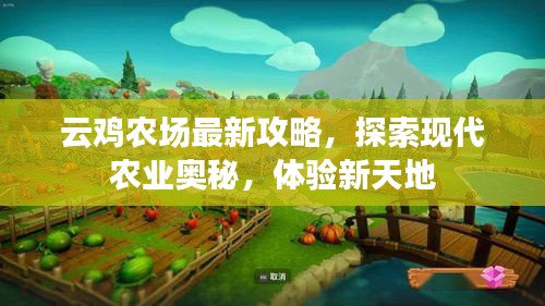 云鸡农场最新攻略，探索现代农业奥秘，体验新天地