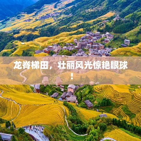 龙脊梯田，壮丽风光惊艳眼球！